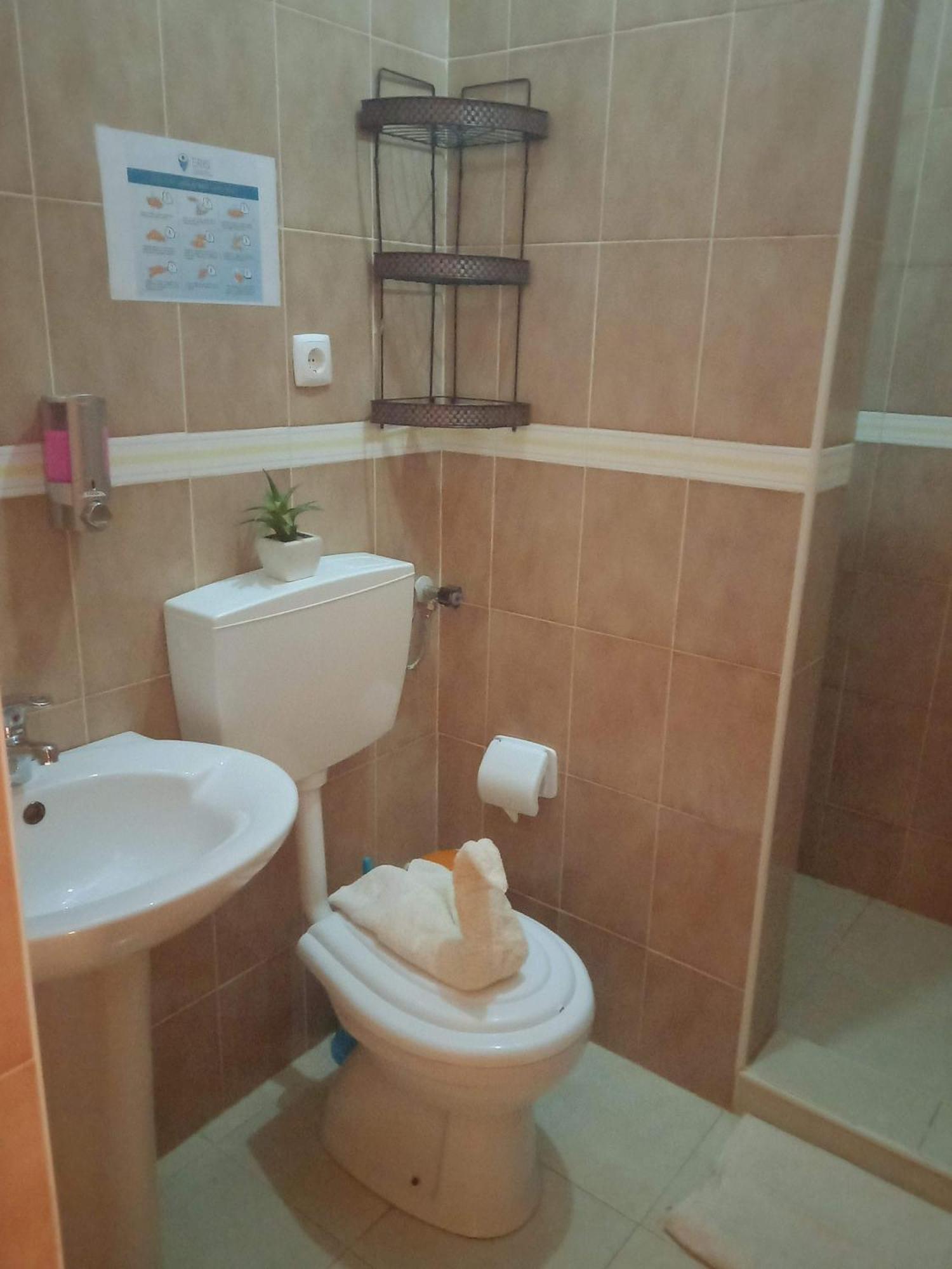サル・レイ Residencial Rosa Criola Bed & Breakfast エクステリア 写真